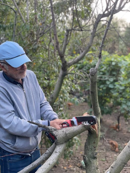 Servicii întreținere spații verzi, grădini, livezi, vii, legume