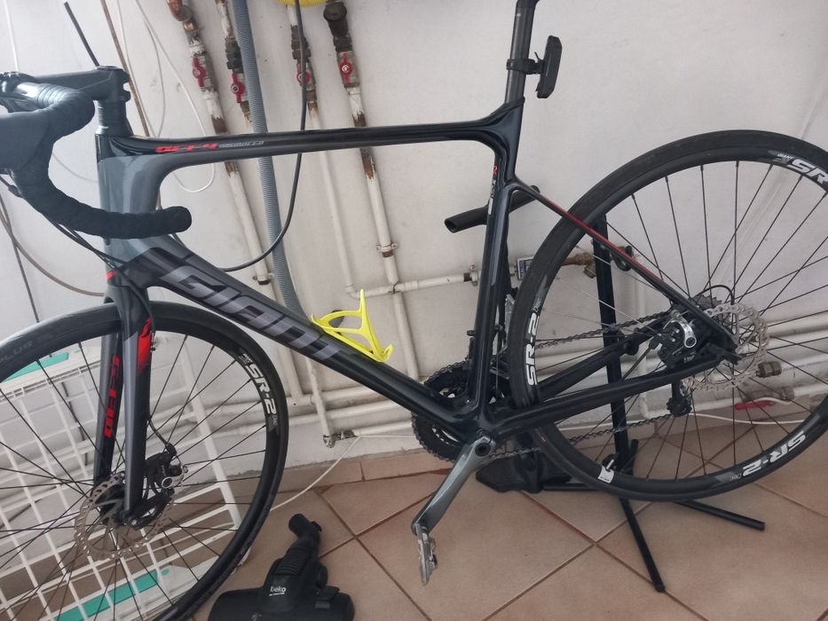 Cursiera giant carbon