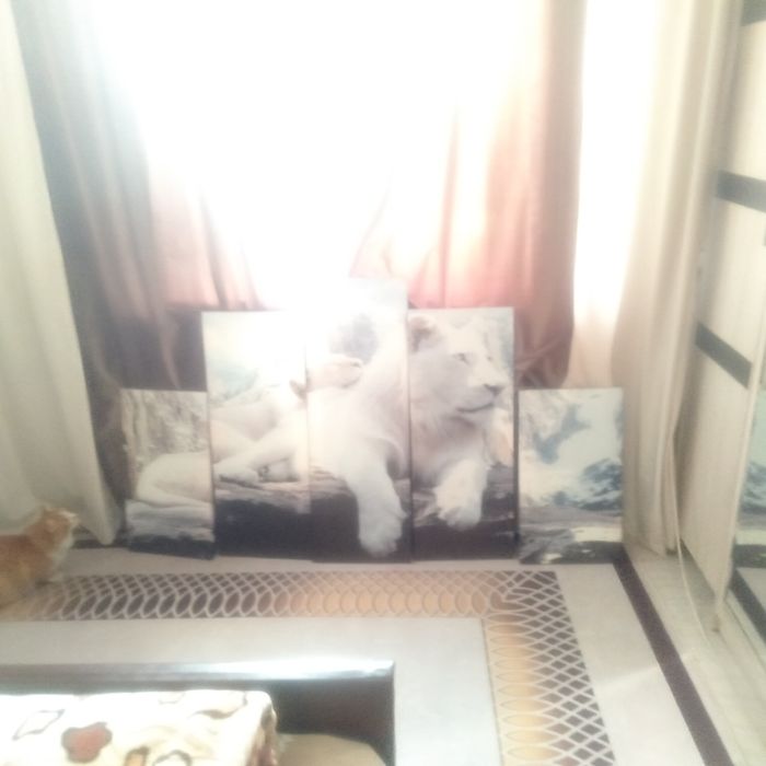 Срочно срочно продам