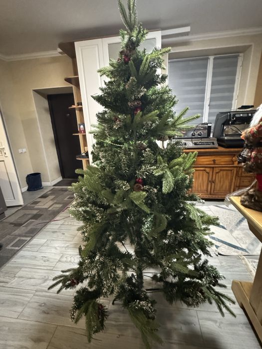 Елка в хорошем состоянии