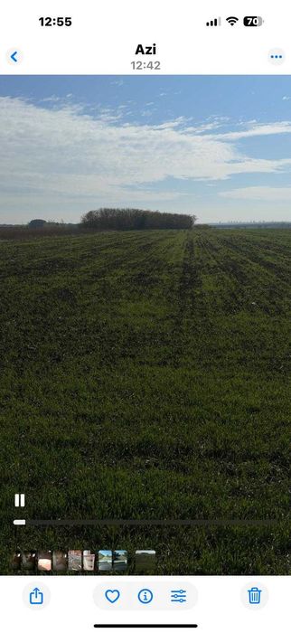 Urgent !1!  Teren extravilan