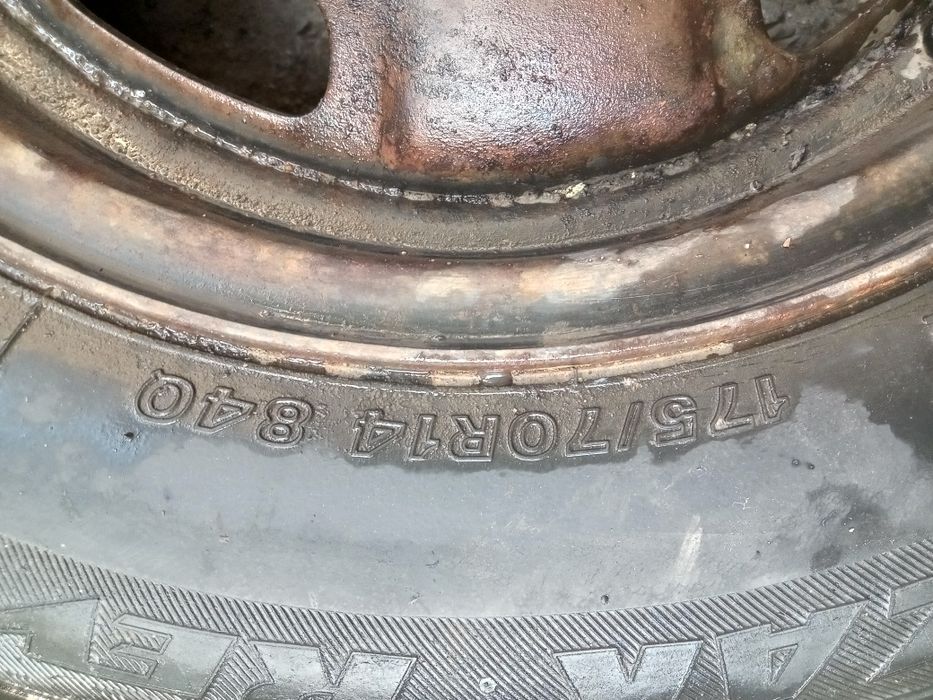 Продам резину Blizak