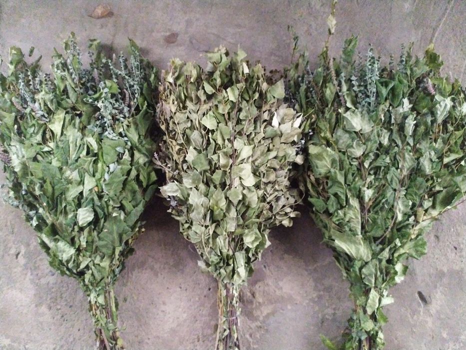 Берёзовые банные веники