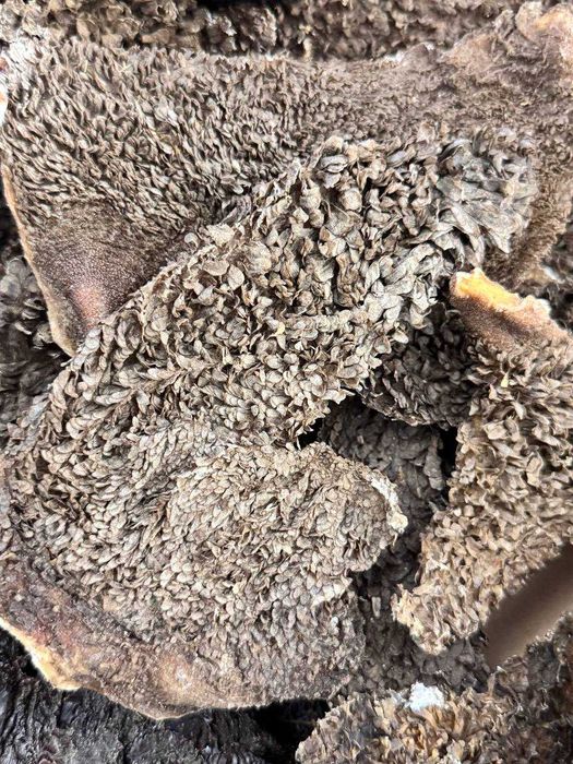 Набор лакомств для собак