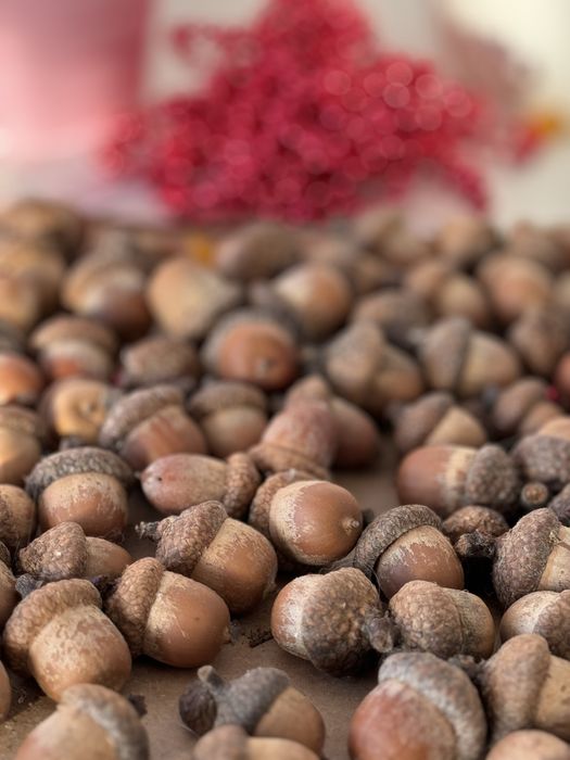 Ghinde ornamentale aranjamente craciun