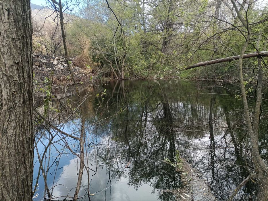 Продава се Земеделски имот в Карлово -  кв.м за 5750 €/дка - Снимка #16