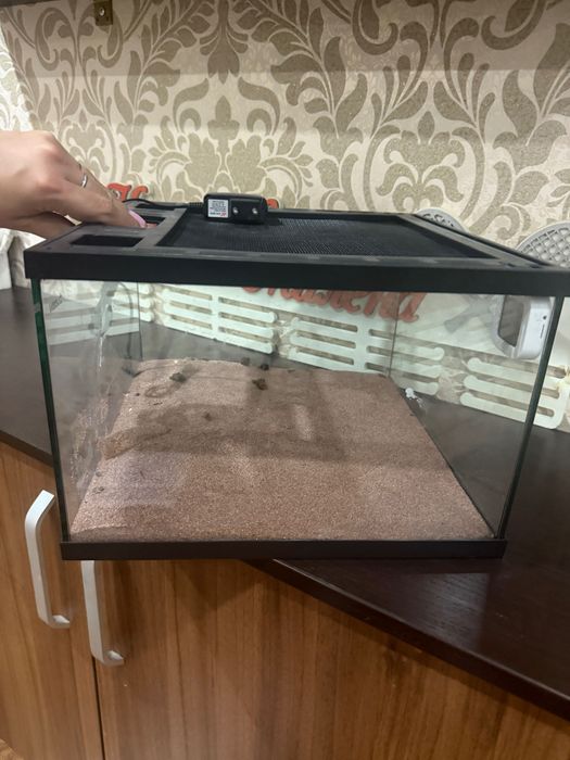 Террариум для ящериц