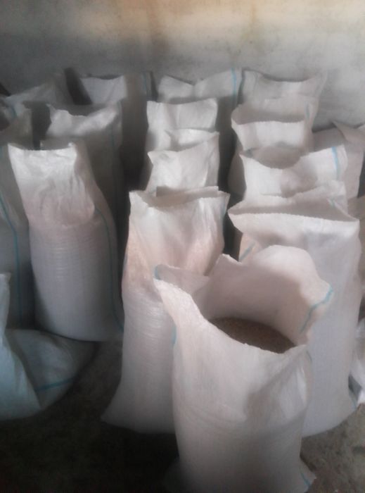 Vând circa 350 kg ovăz producție 2025