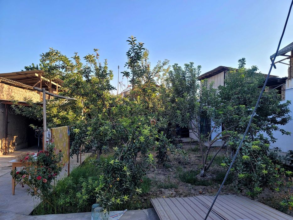 Uy sotiladi!!Продается дом.Таш.обл.Г Аккурган.Улица Ибн-сино34.(центр)