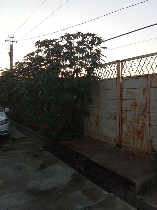 Uchastka hovli sotiladi