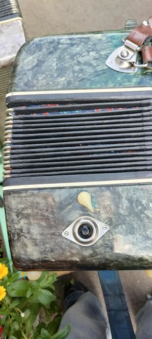 Баян или гармонь)