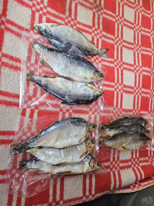 Пелядь Продам рыба пеледь