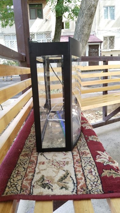 Akvarium baliqlar uchun
