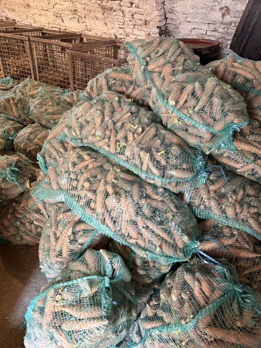 Vand morcovi de consum si de animale