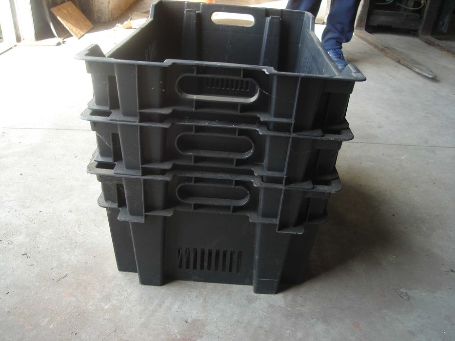 lazi fructe diferite dimensiuni