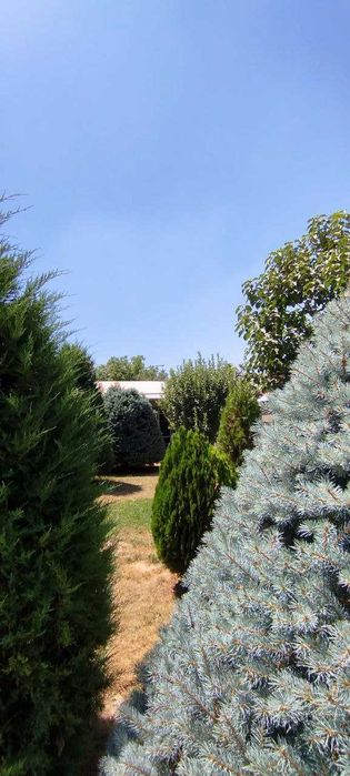 Вам повезло! Продается отличный дом! 5.25 сот