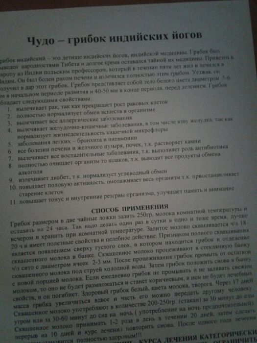 Молочный гриб полезный