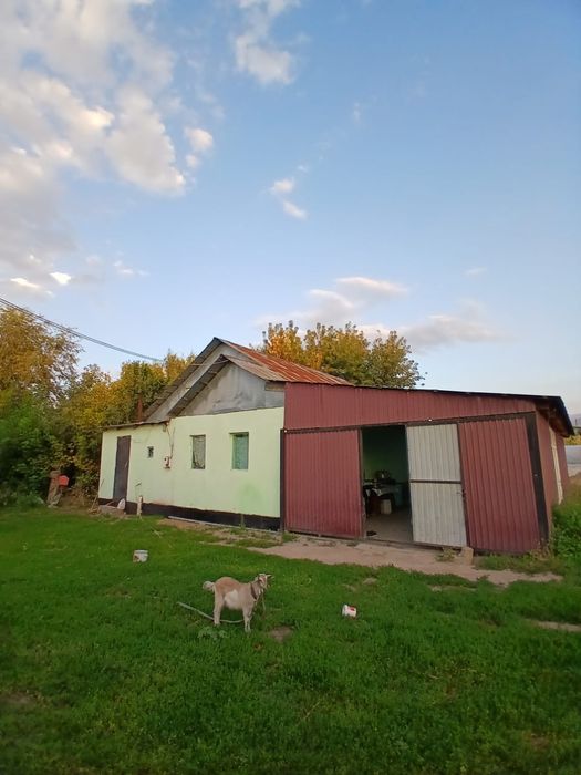 Уй сатылады Байдибек би