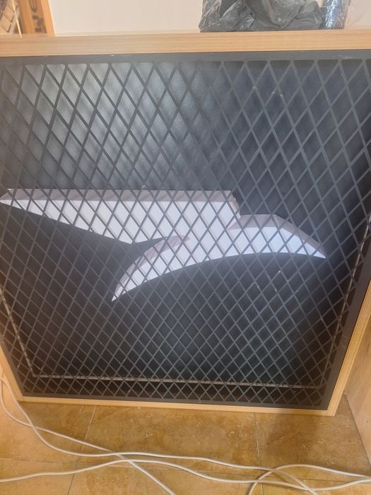 Профисянални рекламы