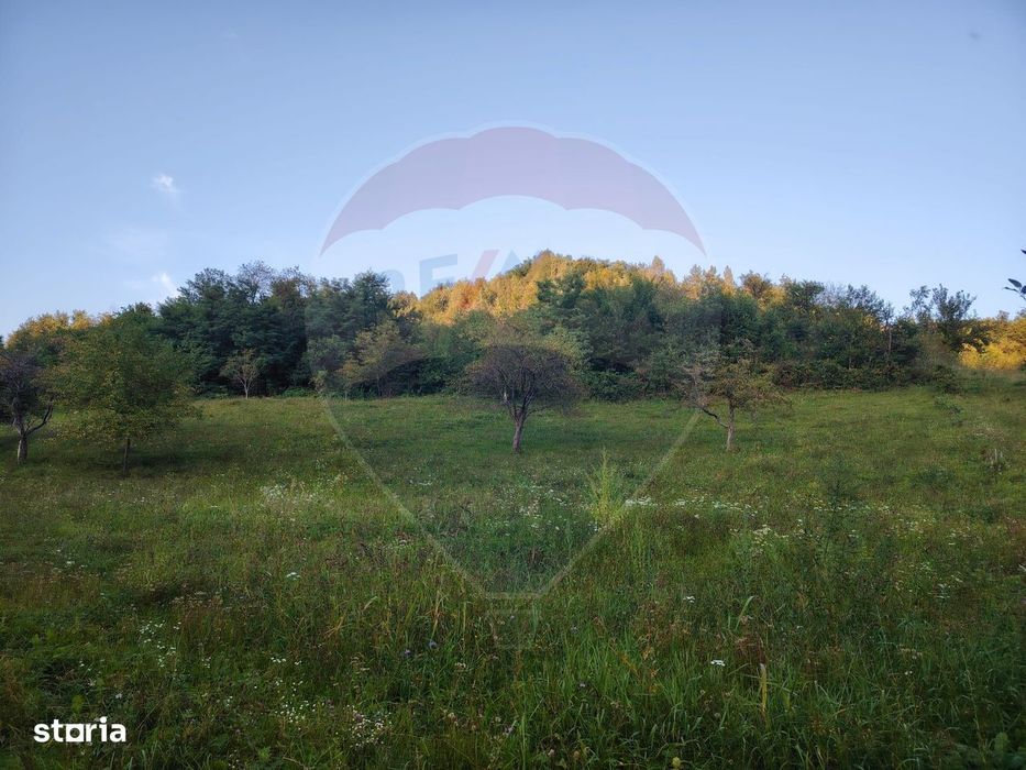 Comision 0! Teren intravilan 2.339 mp Barsana – oferta rara