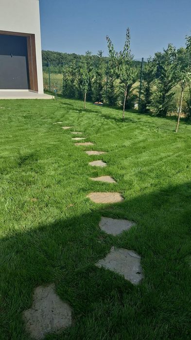 piatra naturala/aleii japoneze/fântâni arteziene