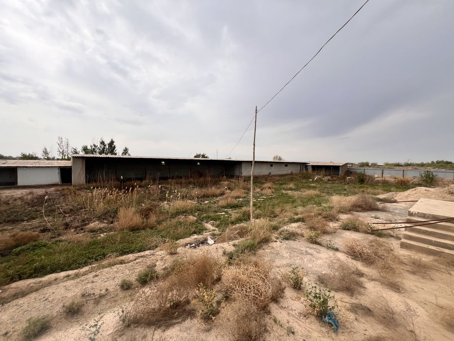 Ferma tayyor (xo’jalik)