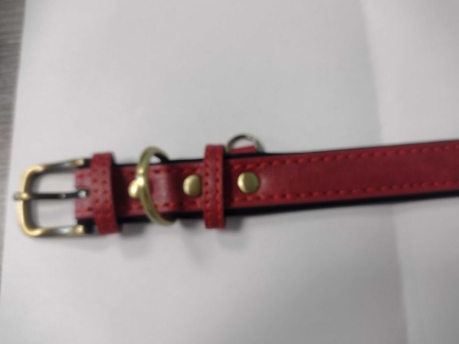 Zgarda câine, piele, culoare roșie, 40 cm (nouă)