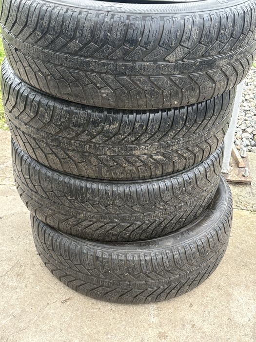 Cauciucuri de iarna