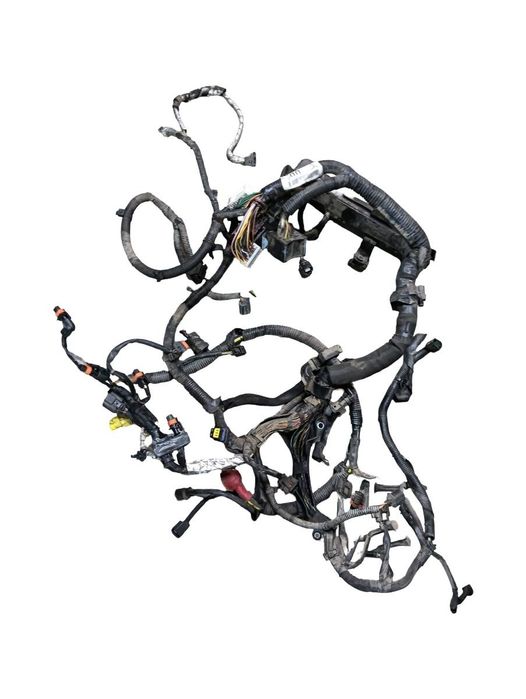 Instalatie Electrica Motor Nissan Qashqai / Qashqai +2 I J10, Jj10 2006 - 2014 24011Bb01C