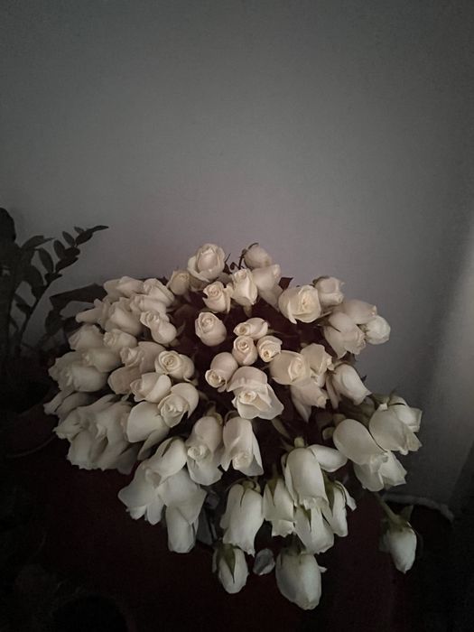 Голландские белые розы