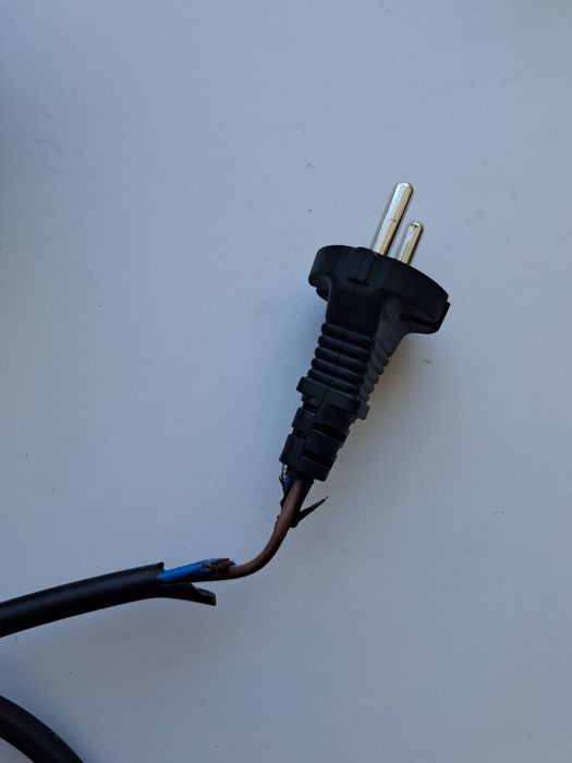 Фен обыкновенный