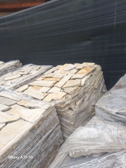 Vând plante ornamentale la preț mic