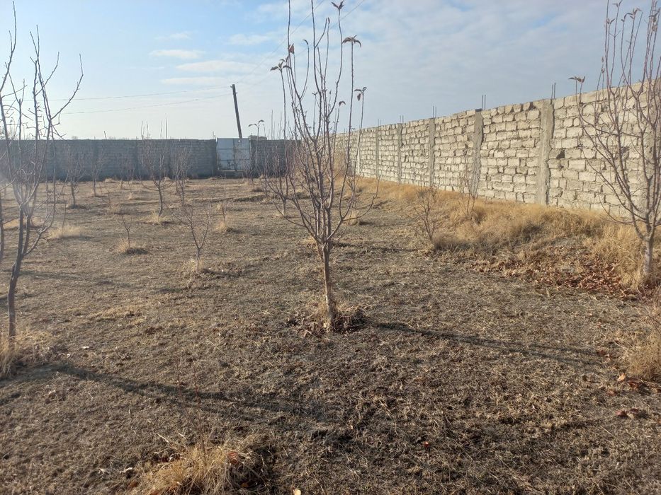 24 сотых уй жой сотлади