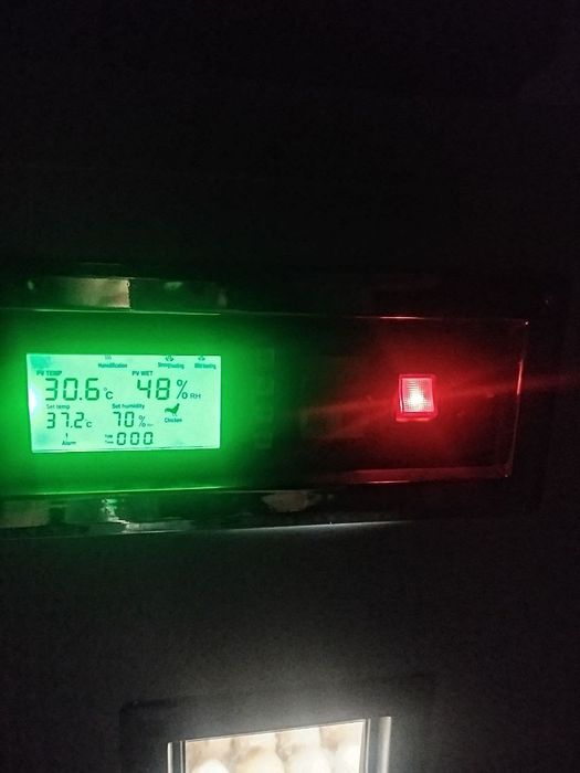 Инкубатор 356 талик