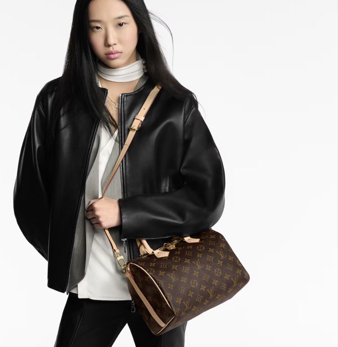 Сумка Louis Vuitton LV Speedy 25