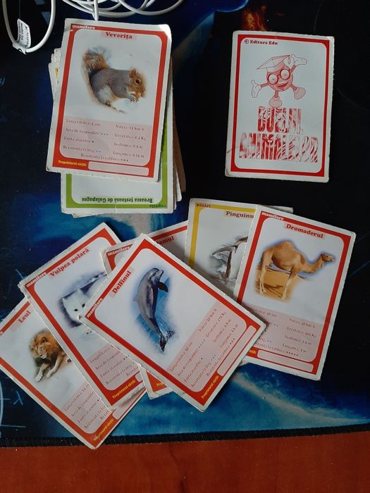 Cărți de joc Madagascar, Edu și Kung Fu Panda