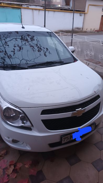 2021 йил коблт холати зур