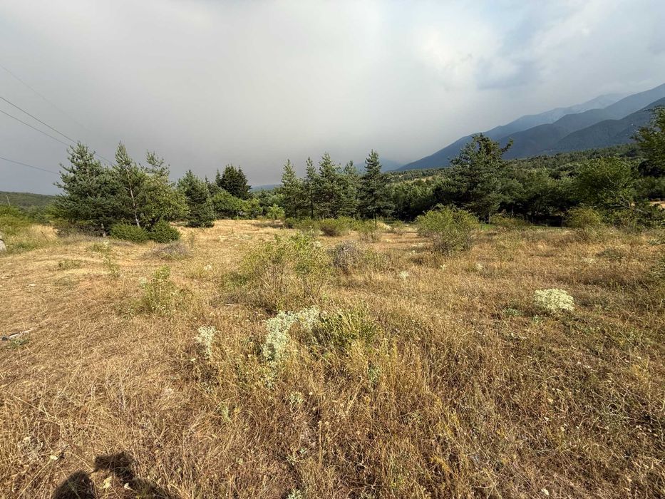 Продава се Парцел в Разлог - 1200 кв.м за 35 €/кв.м - Снимка #3