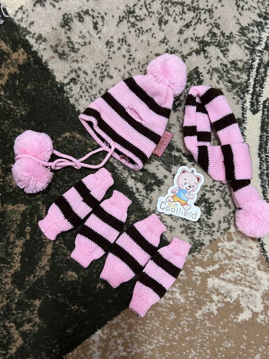 Set de iarna (caciula fular jambiere) pentru catei pisici XXS