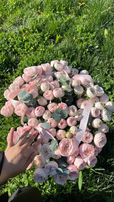 цветы очень красивые