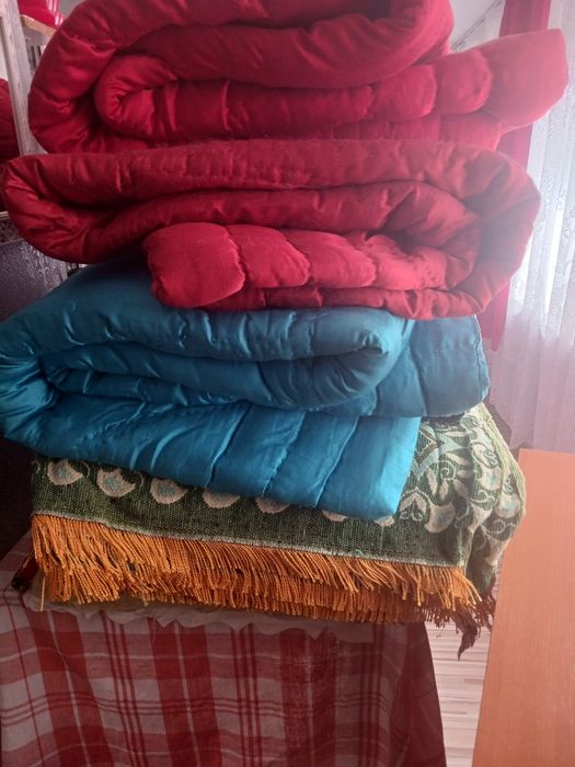 Plapumi de iarnă groase lână