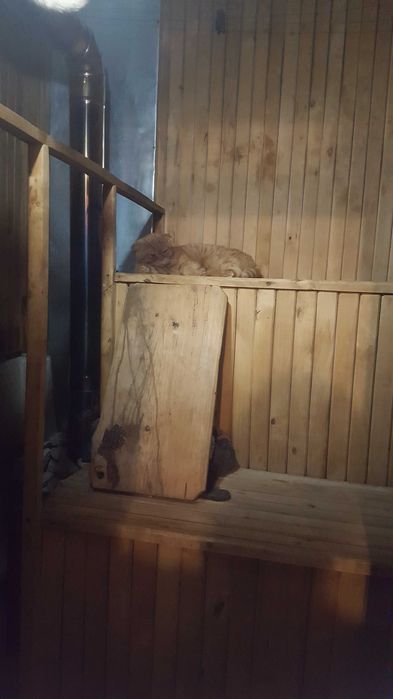 дом в центре города