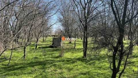 Продава се Парцел в с. Паничери, Област Пловдив - 780 кв.м за 10 €/кв.м - Снимка #1