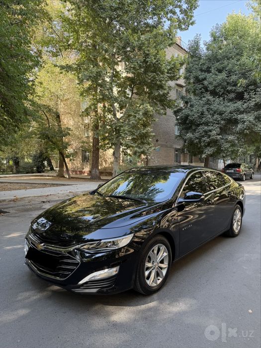 Malibu 2 Premier 2022