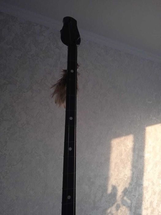 ДОМБЫРА сатылады ҚАРА түсті