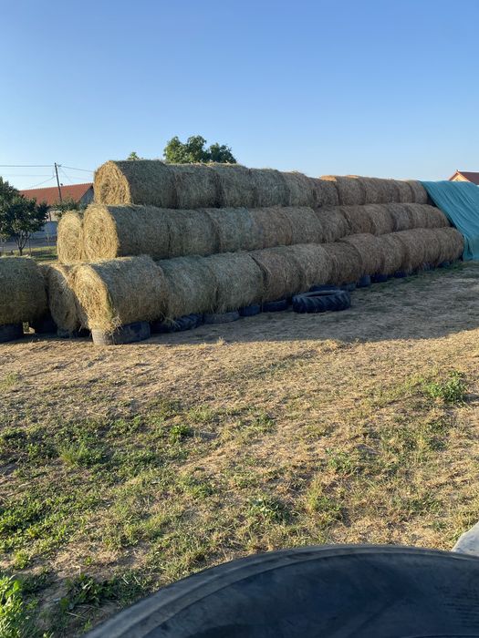 Vând baloți lucernă uscați și înfoliați
