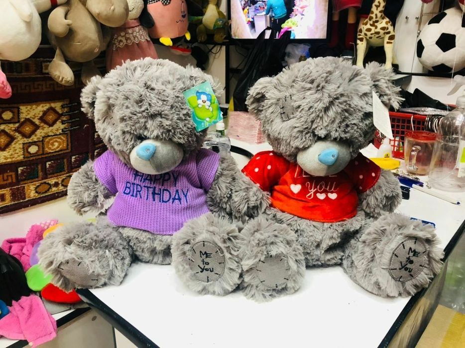 Tedi  teddy miyahki