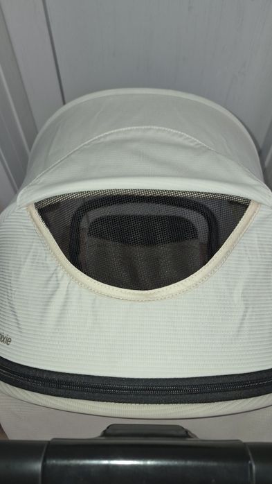 Лятна количка Chipolino Pixie до 22кг.