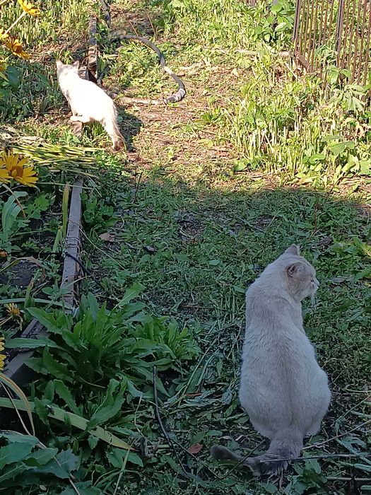 !!!СПАС ЖИЗНЬ Кто то…