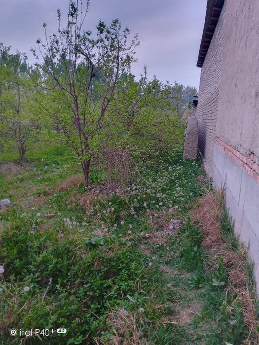 Чек сотилади. Кувада